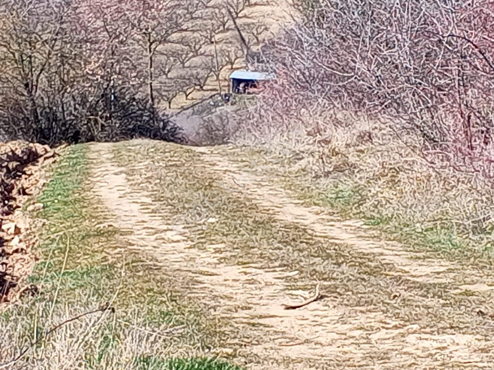 Yenişehir Mecidiyeköy De Köye 200 Metre Mesafede 4,105,m2-tarla - Görsel 5