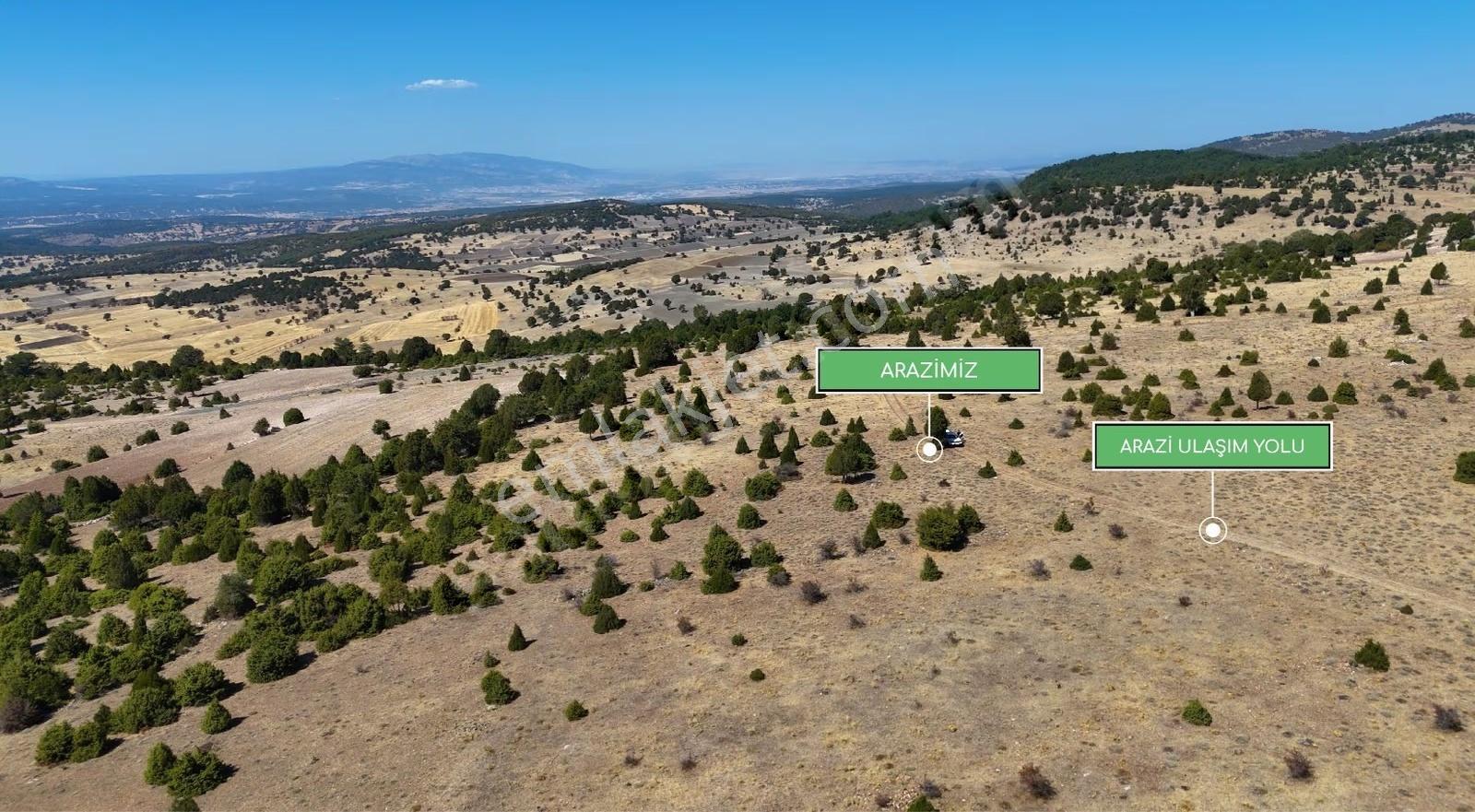Kütahya Merkez Akoluk Köyünde 3556 M² Fırsat Arazi - Görsel 9
