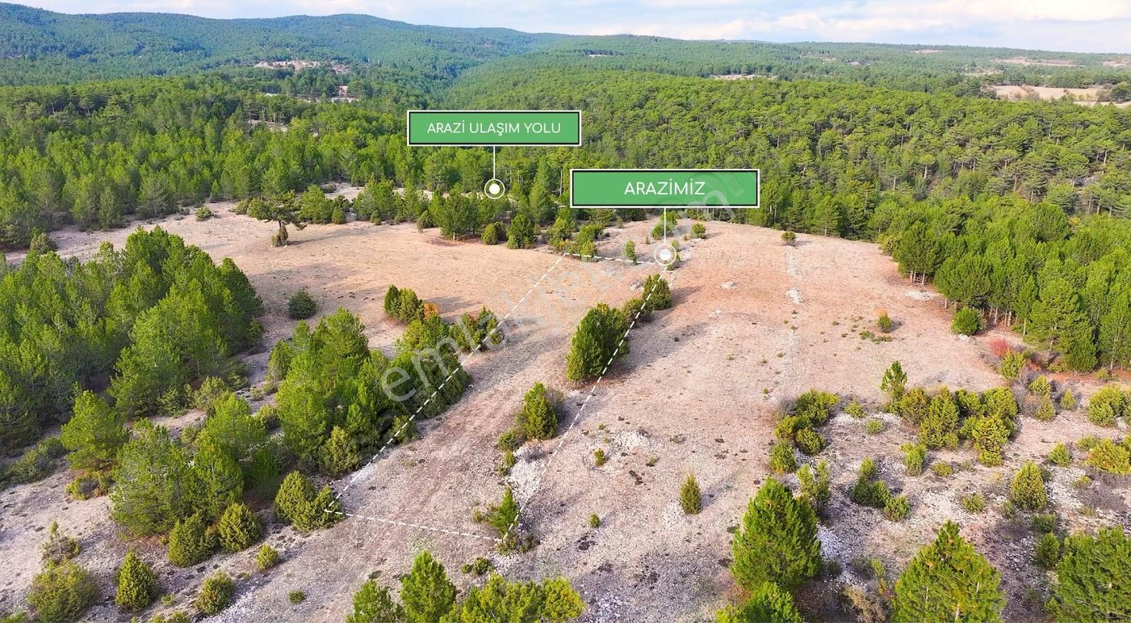 Kütahya Emet Çerte/fatihte 1368 M² - Kaçırılmayacak Fırsat - Görsel 33
