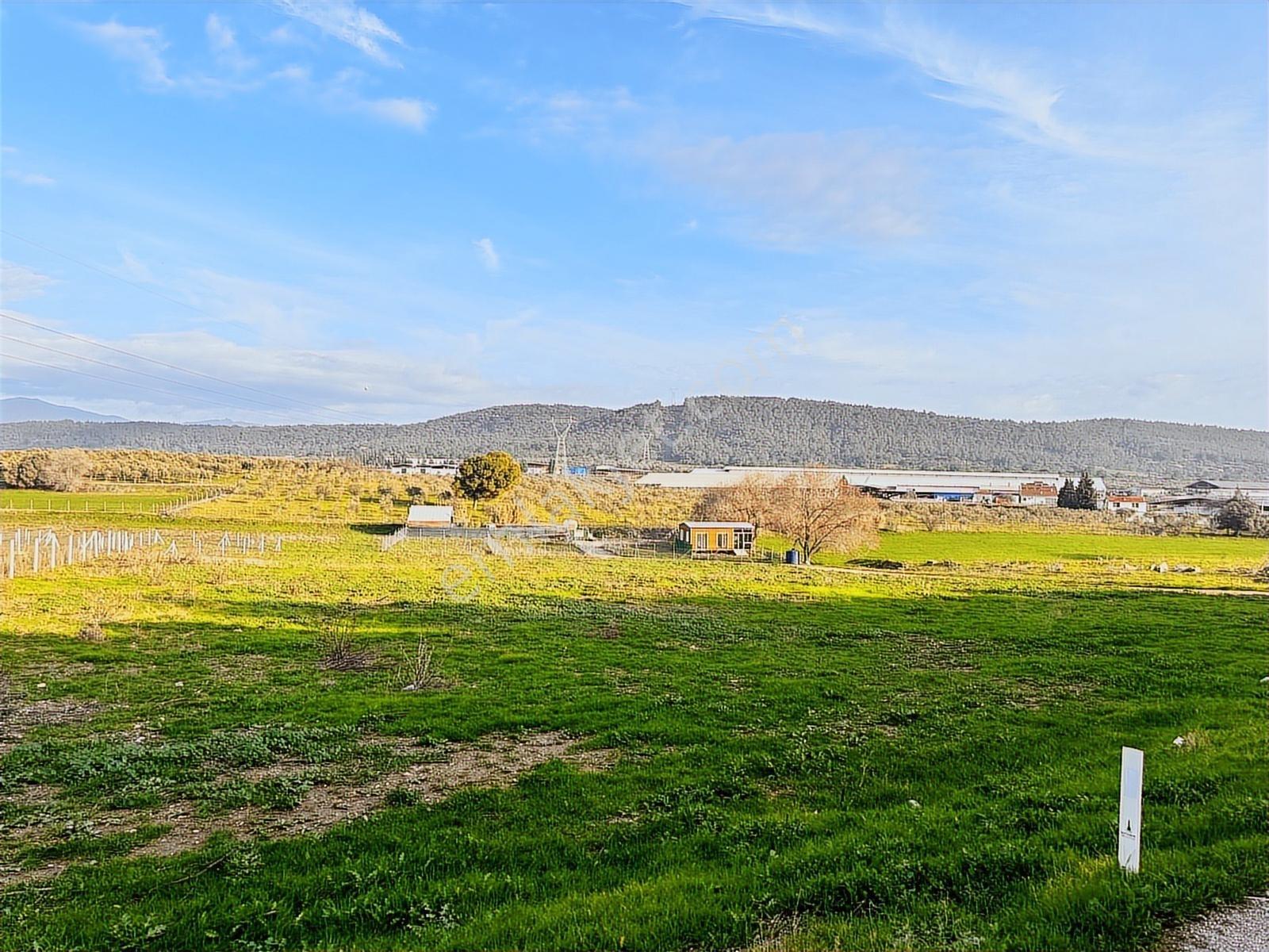 Acil.foça Ilıpınar Yola Cepheli 1483 M2 Yatırımlık Satılık Arazi - Görsel 17
