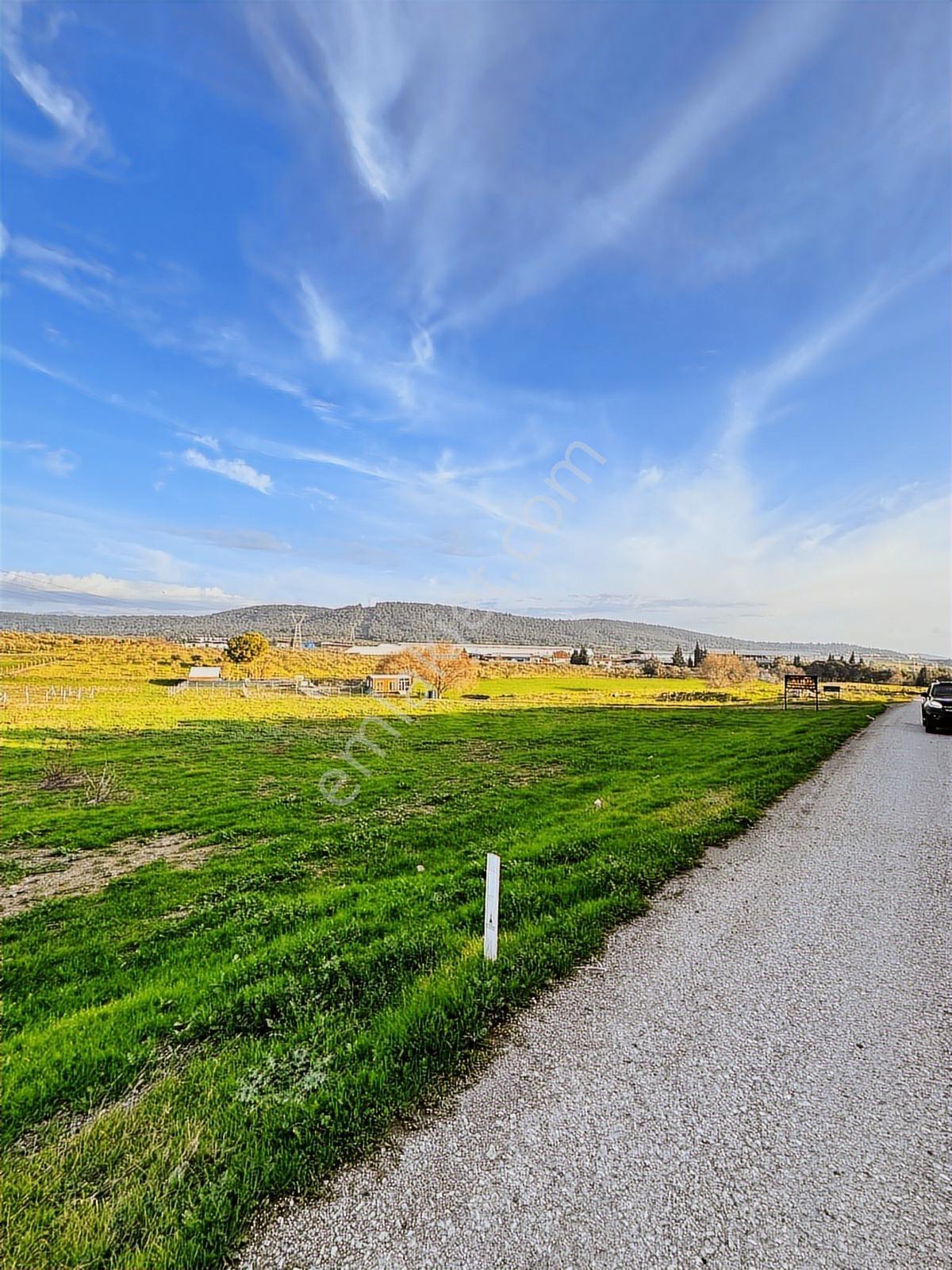 Acil.foça Ilıpınar Yola Cepheli 1483 M2 Yatırımlık Satılık Arazi - Görsel 14