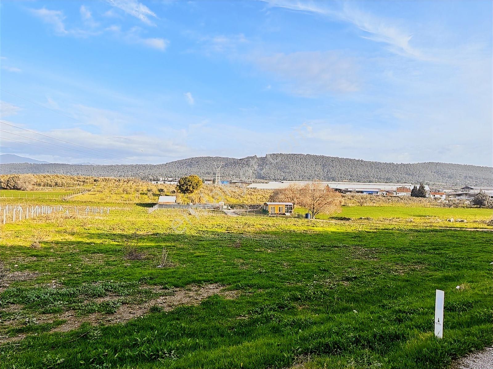 Acil.foça Ilıpınar Yola Cepheli 1483 M2 Yatırımlık Satılık Arazi - Görsel 31