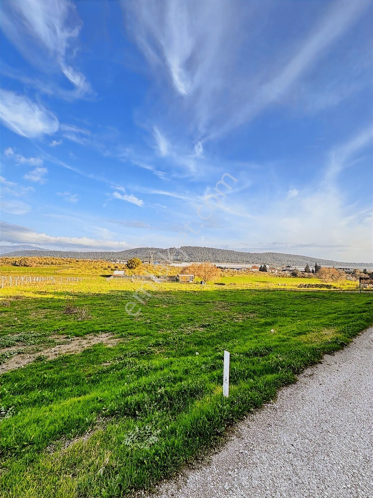 Acil.foça Ilıpınar Yola Cepheli 1483 M2 Yatırımlık Satılık Arazi - Görsel 27