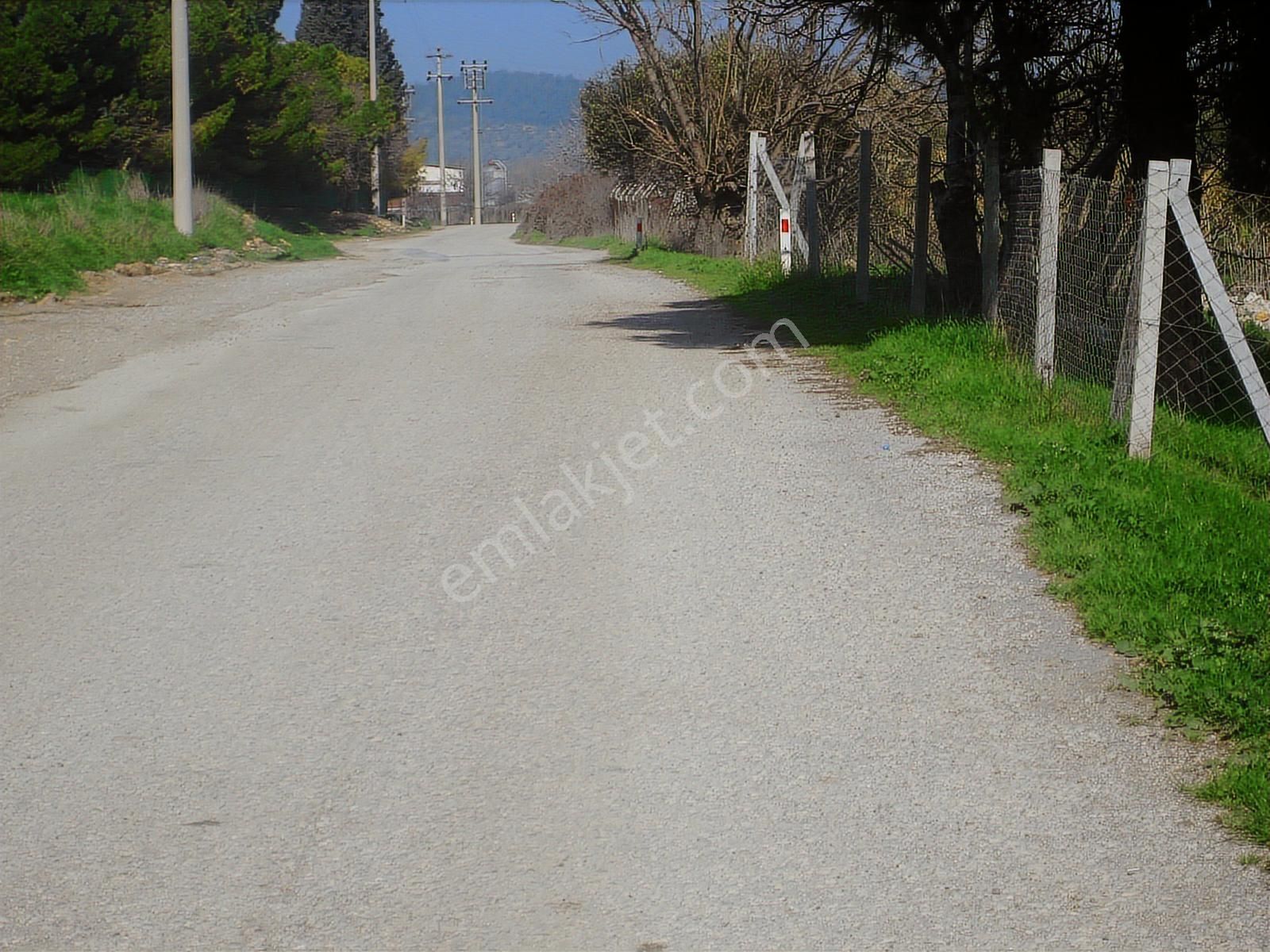 Acil.foça Ilıpınar Yola Cepheli 1483 M2 Yatırımlık Satılık Arazi - Görsel 8