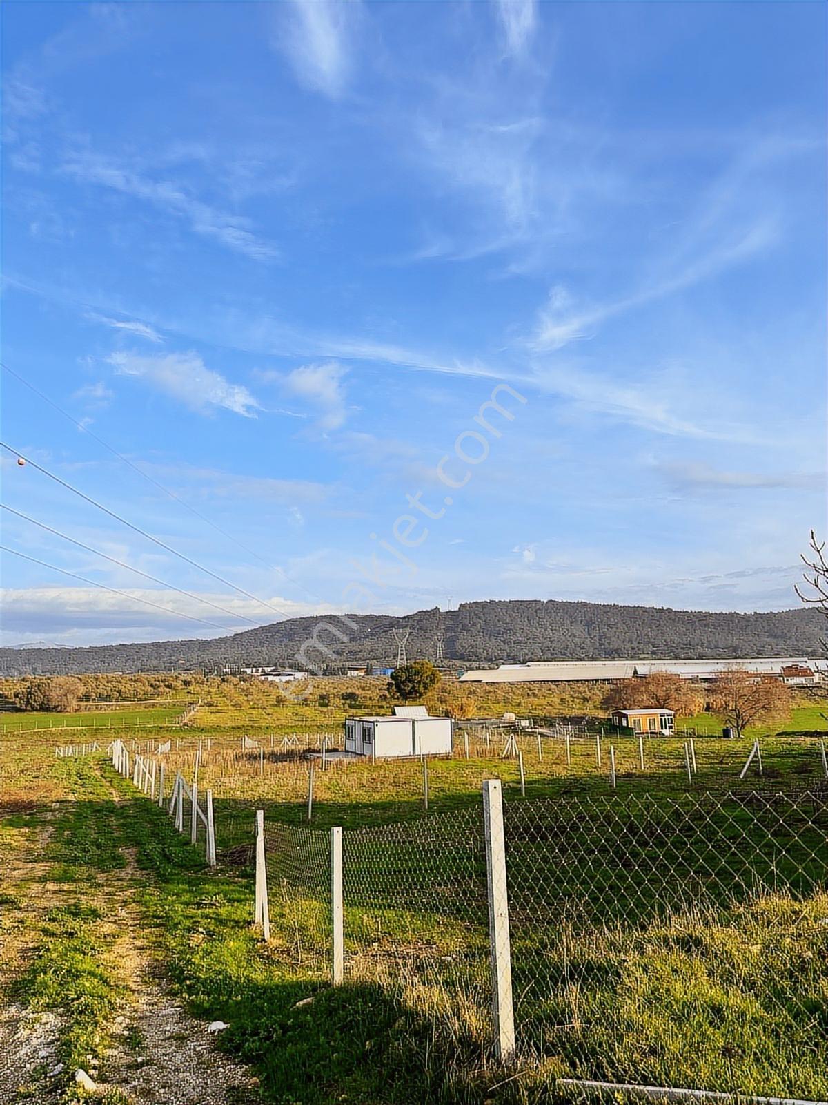 Acil.foça Ilıpınar Yola Cepheli 1483 M2 Yatırımlık Satılık Arazi - Görsel 35