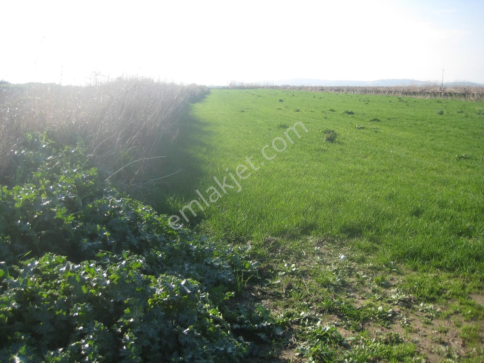 Menemen Kesik'te Yola Cepheli 425.20 M2 Satılık Hobi Bahçesi.. - Görsel 11