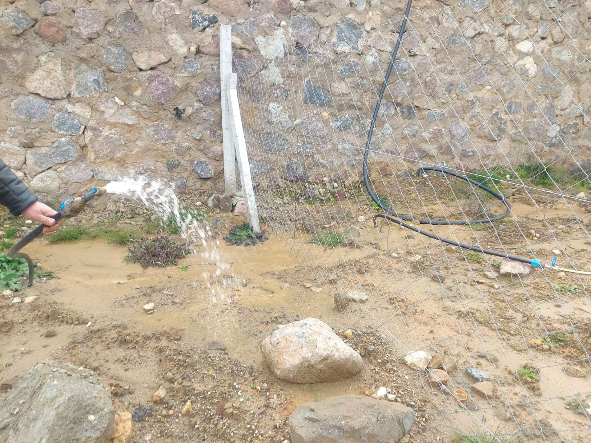 İzmir Torbalı Gold Emlaktan Satılık Bahçe - Görsel 2