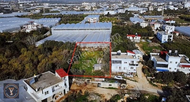 Erdemli Koyuncu 1000 M2 Full Deniz Manzaralı