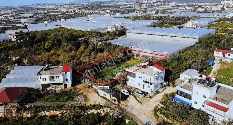 Erdemli Koyuncu 1000 M2 Full Deniz Manzaralı - Görsel 2