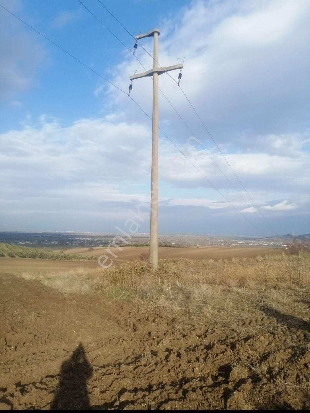 Mustafa Kemalpaşa Çeltikçi De Resmi Yola Cephe 3,316-m2- Tarla - Görsel 3