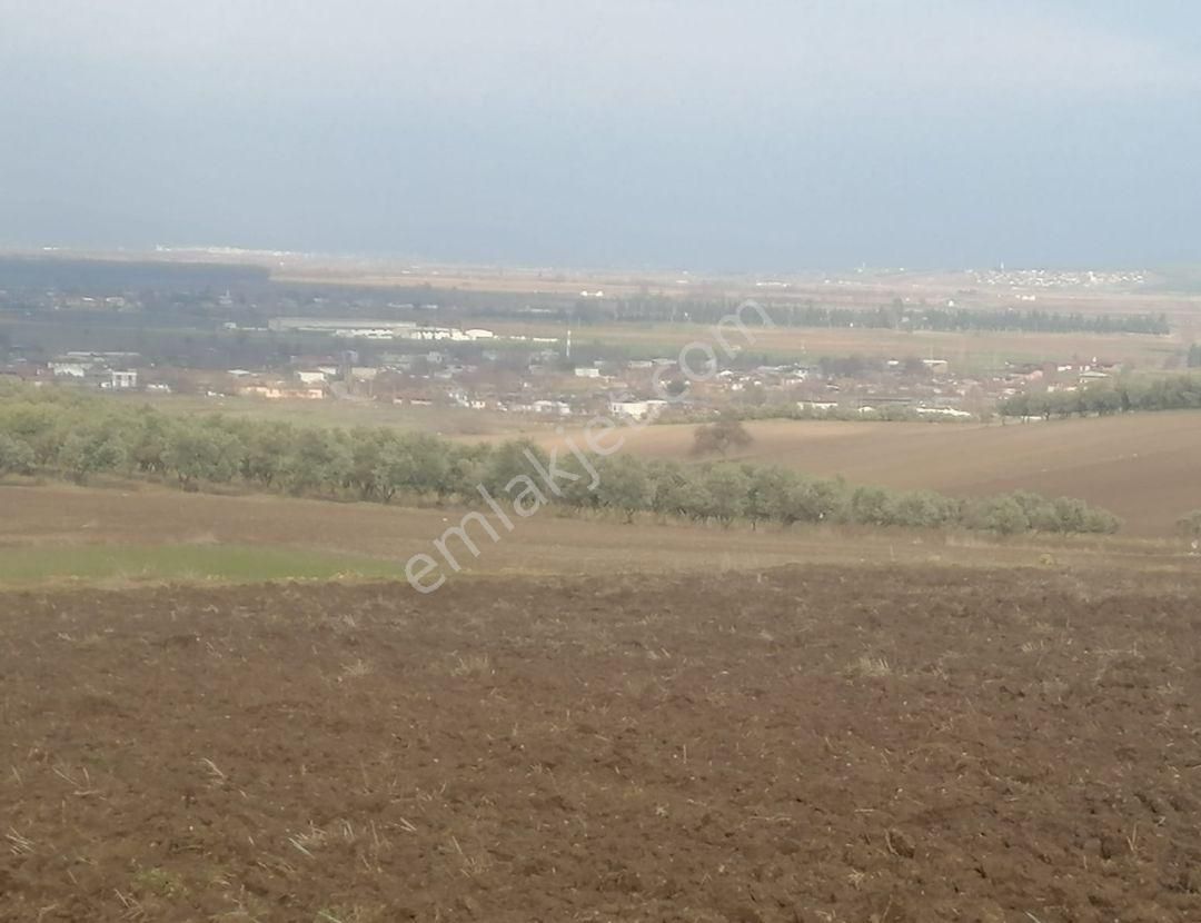 Mustafa Kemalpaşa Çeltikçi De Resmi Yola Cephe 3,316-m2- Tarla - Görsel 12