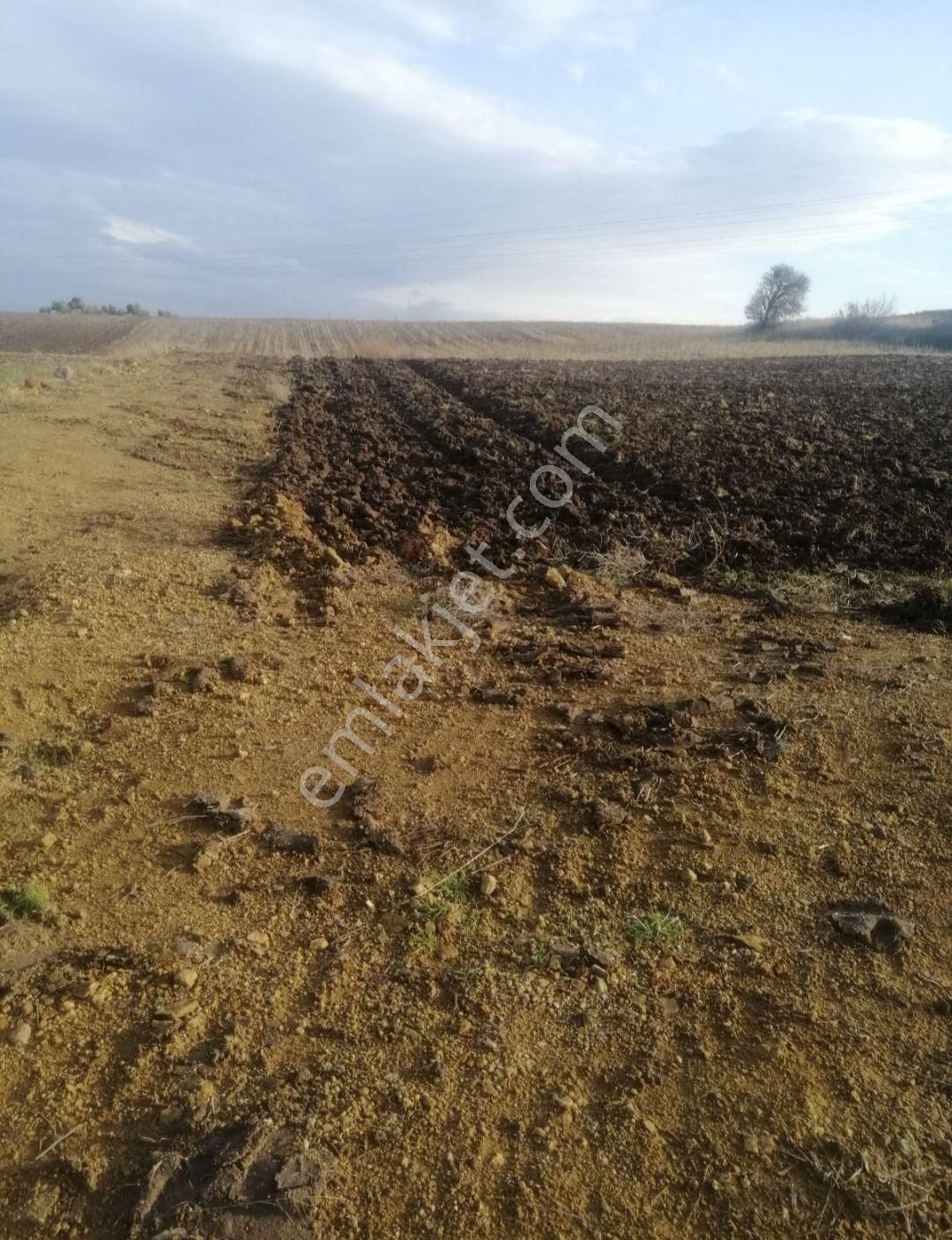 Mustafa Kemalpaşa Çeltikçi De Resmi Yola Cephe 3,316-m2- Tarla - Görsel 19