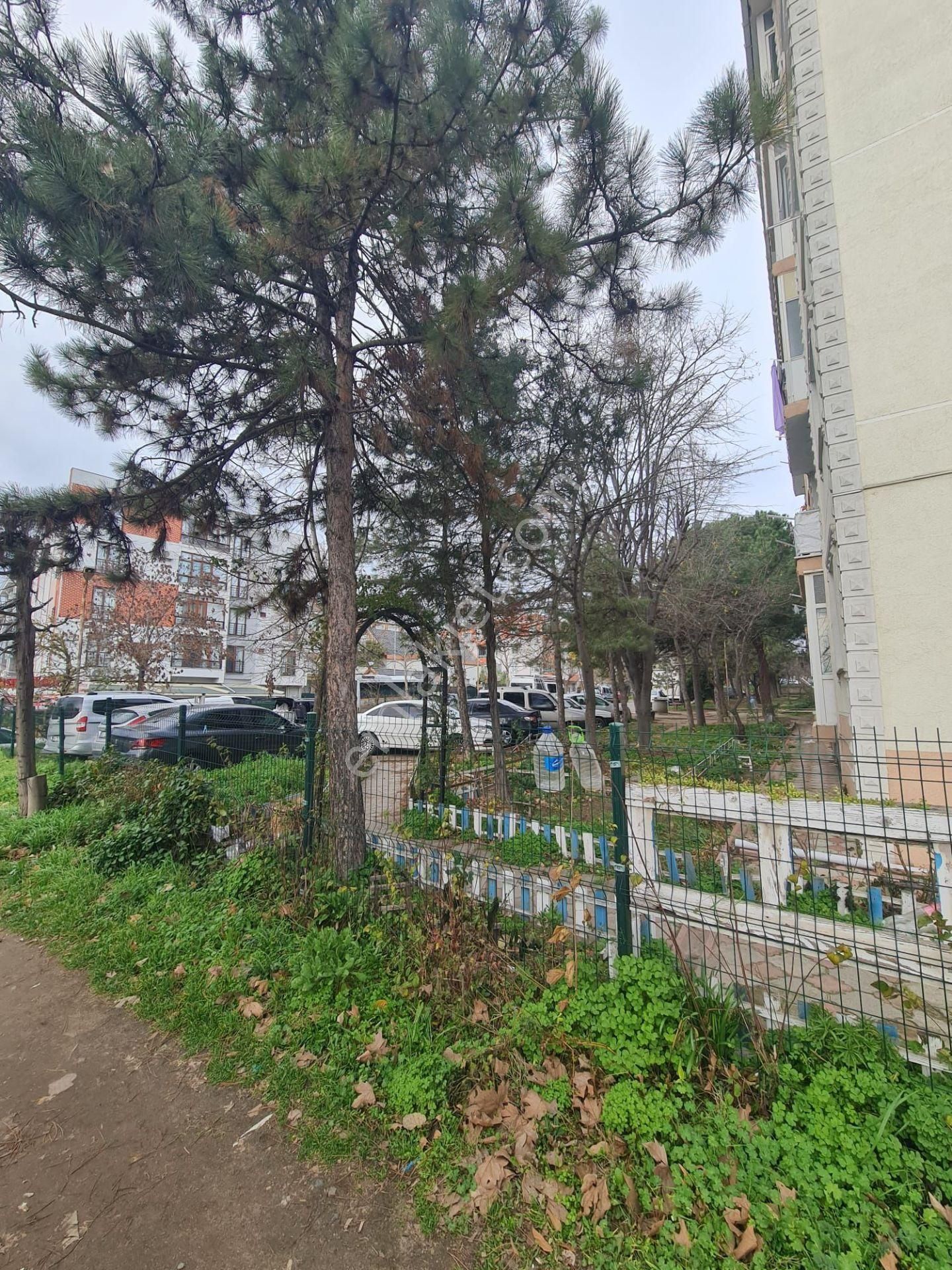 Arslanbeyden Tekirdağ Çorlu Mevkiinde Acil Satılık Daire Fırsatı!!!!! - Görsel 11