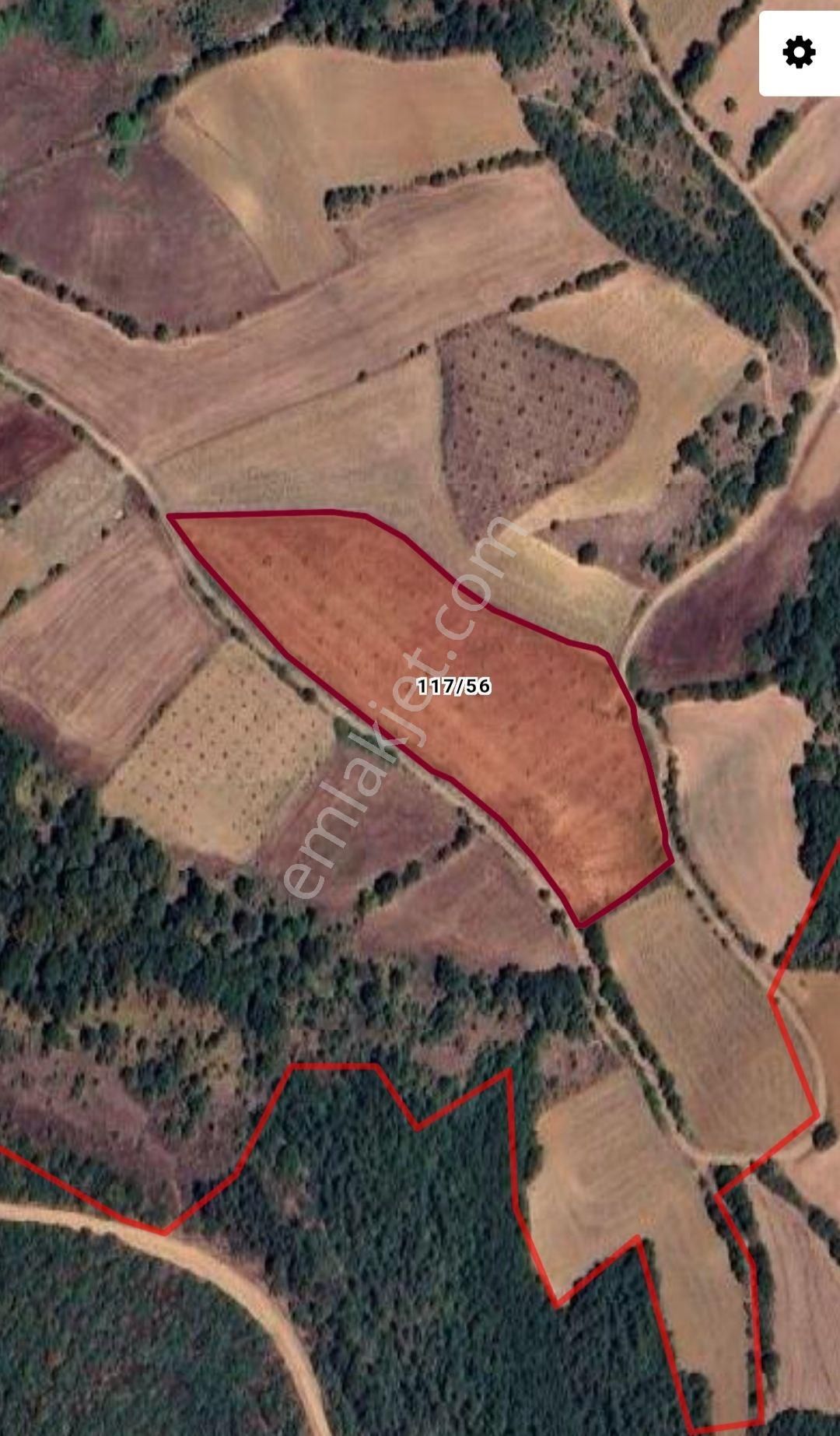 Yenişehir Kızılhisar'da 5843,m2 Suyu Olan Ceviz Bahçesi - Görsel 14