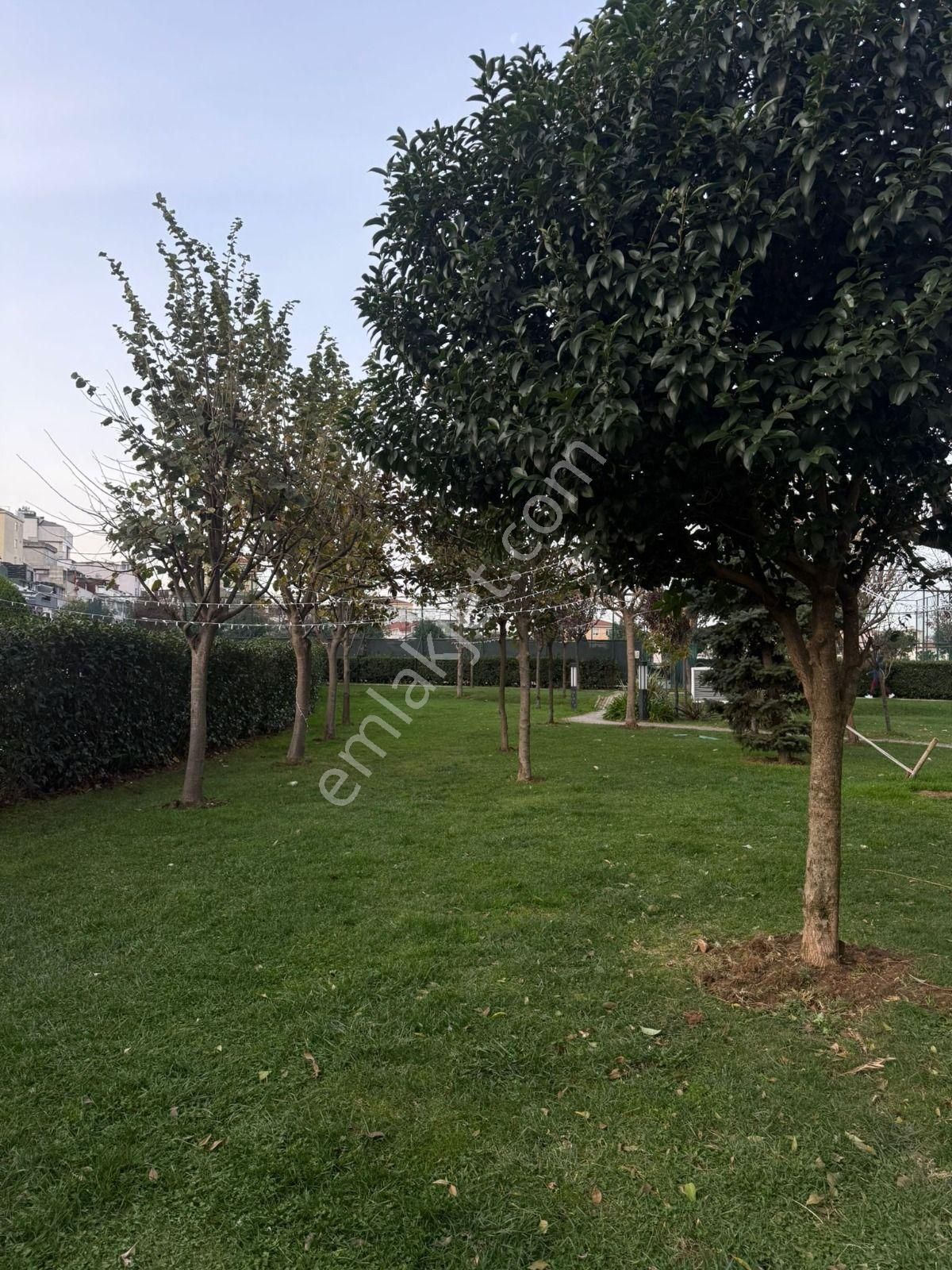 Tamnokta Ataşehir Kentplus Centrium' Da 2+1 Boş Kiralık Daire - Görsel 15