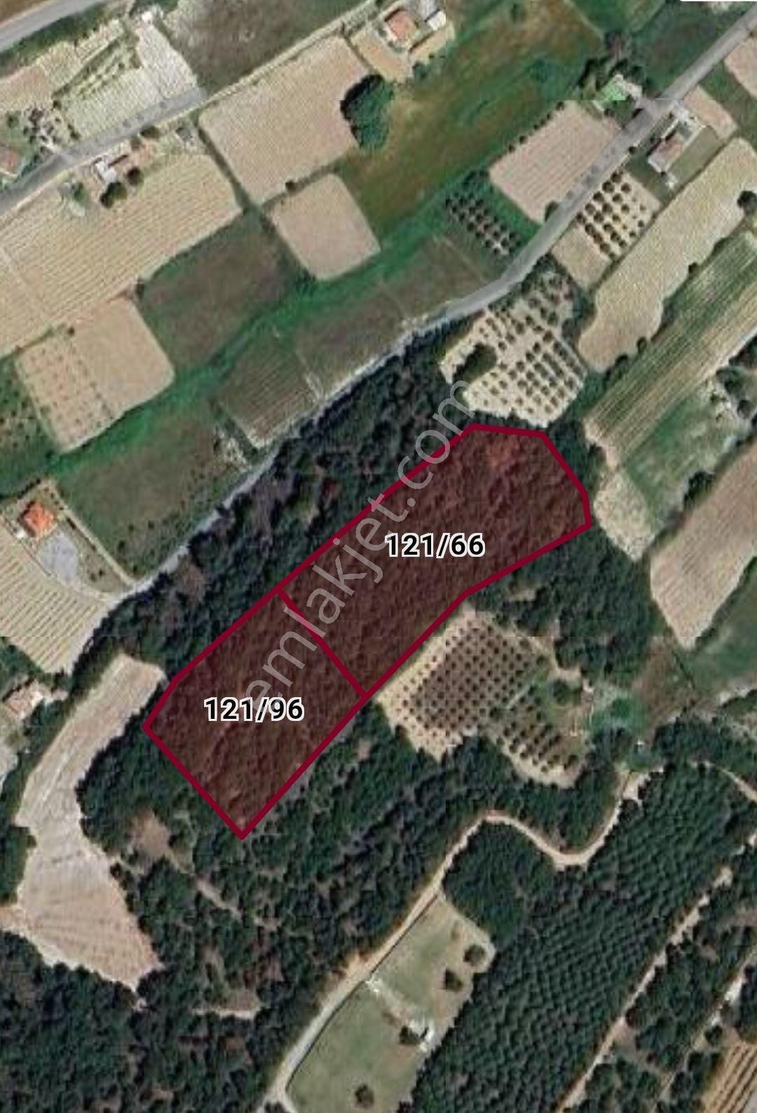 Canakkale Bozcaada Satılık Tarla - Görsel 3