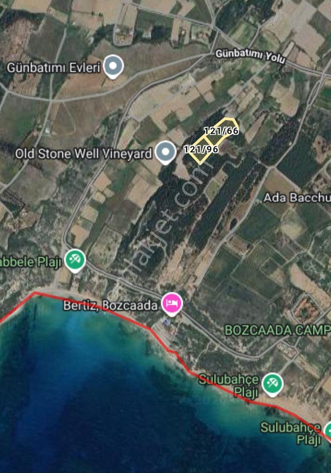 Canakkale Bozcaada Satılık Tarla - Görsel 2