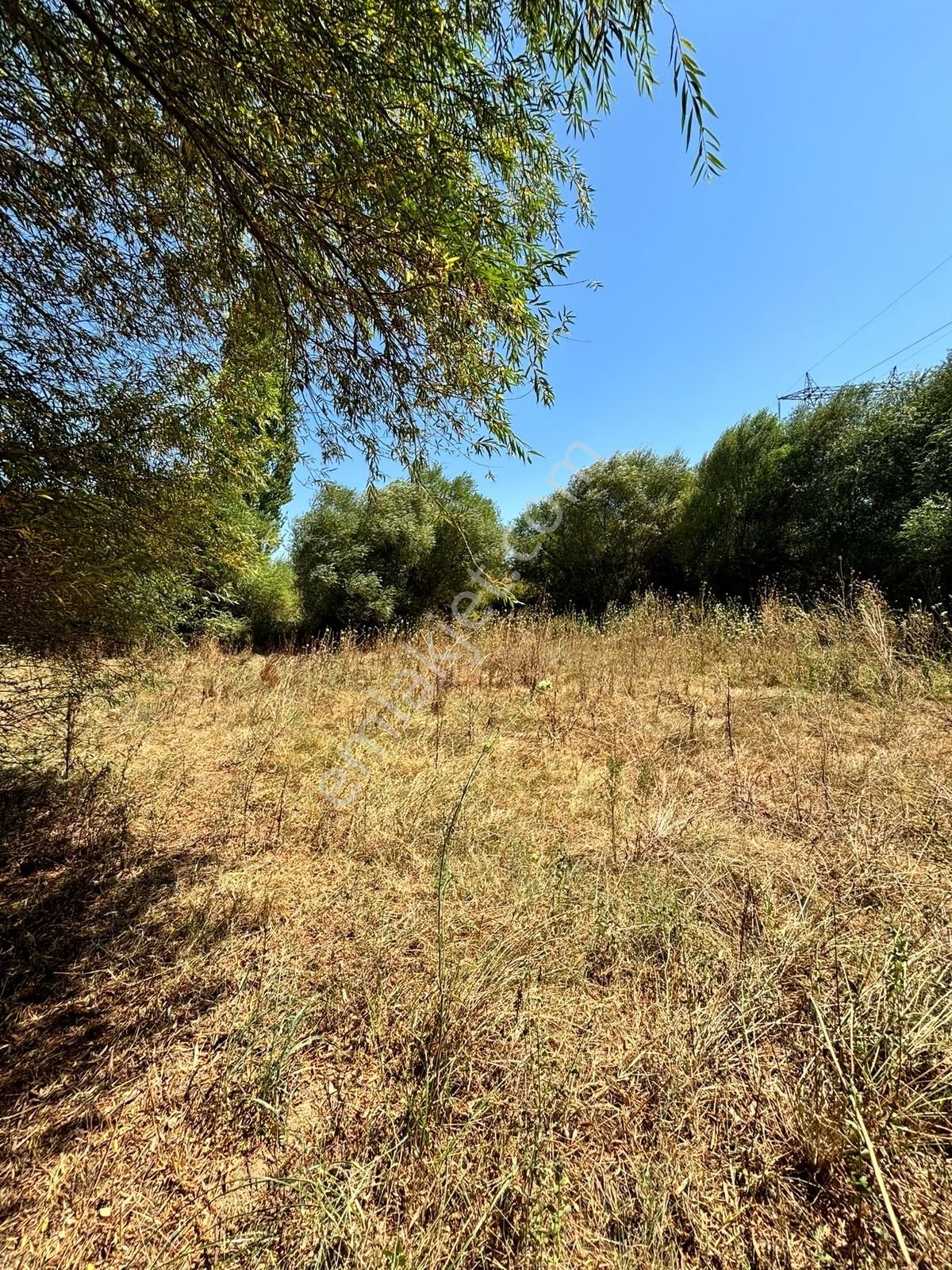 Satılık 6,234 M2 Düz Yolu Olan Tarla - Görsel 5