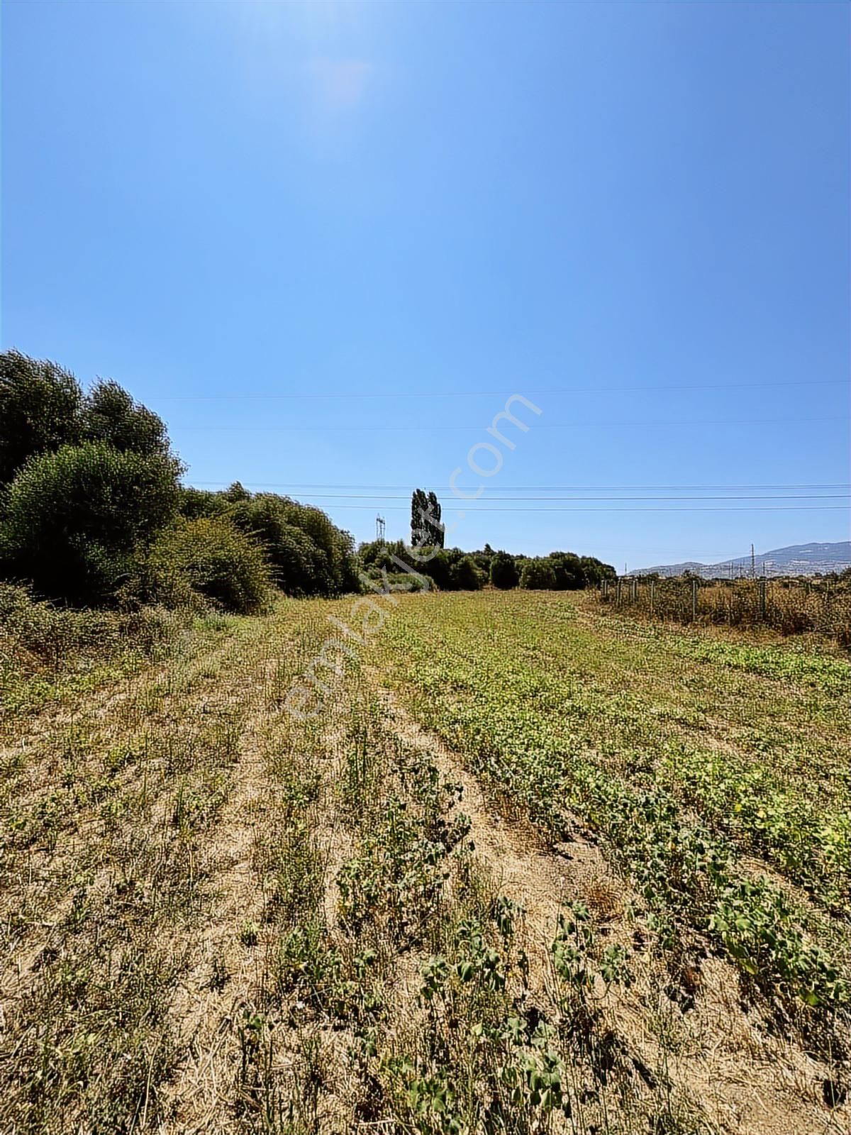 Satılık 6,234 M2 Düz Yolu Olan Tarla - Görsel 9
