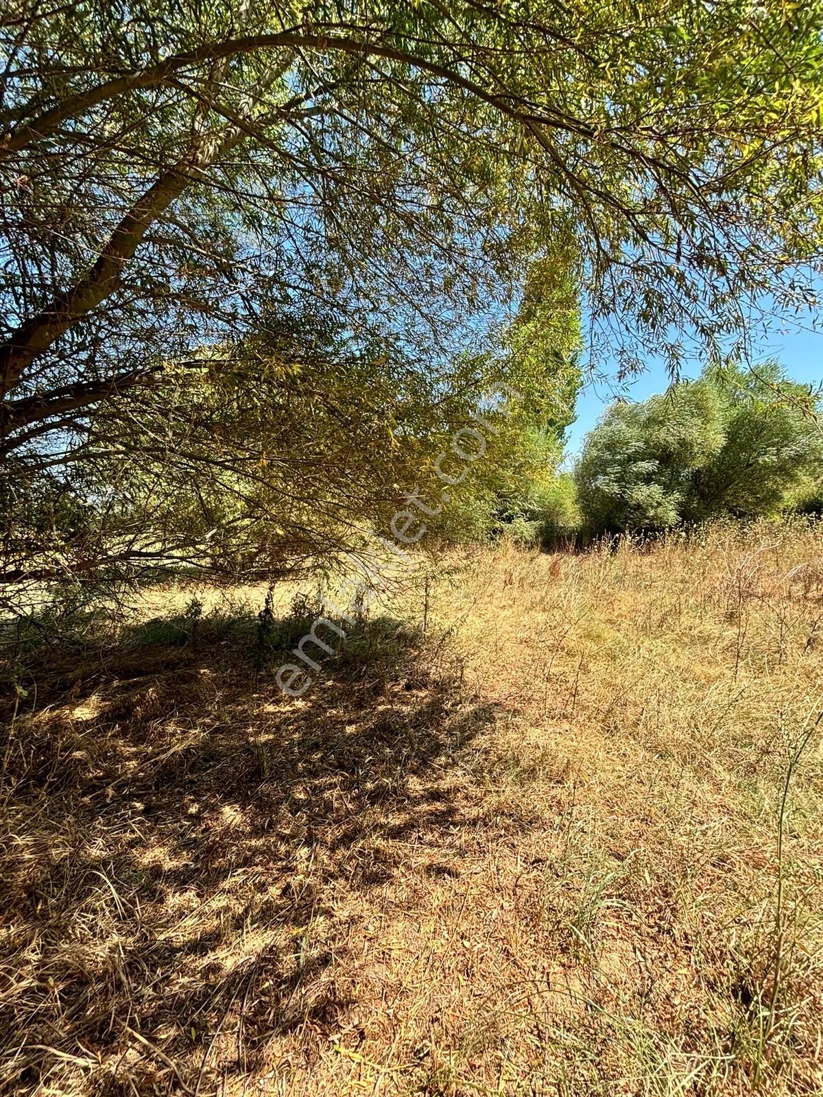 Satılık 6,234 M2 Düz Yolu Olan Tarla - Görsel 10