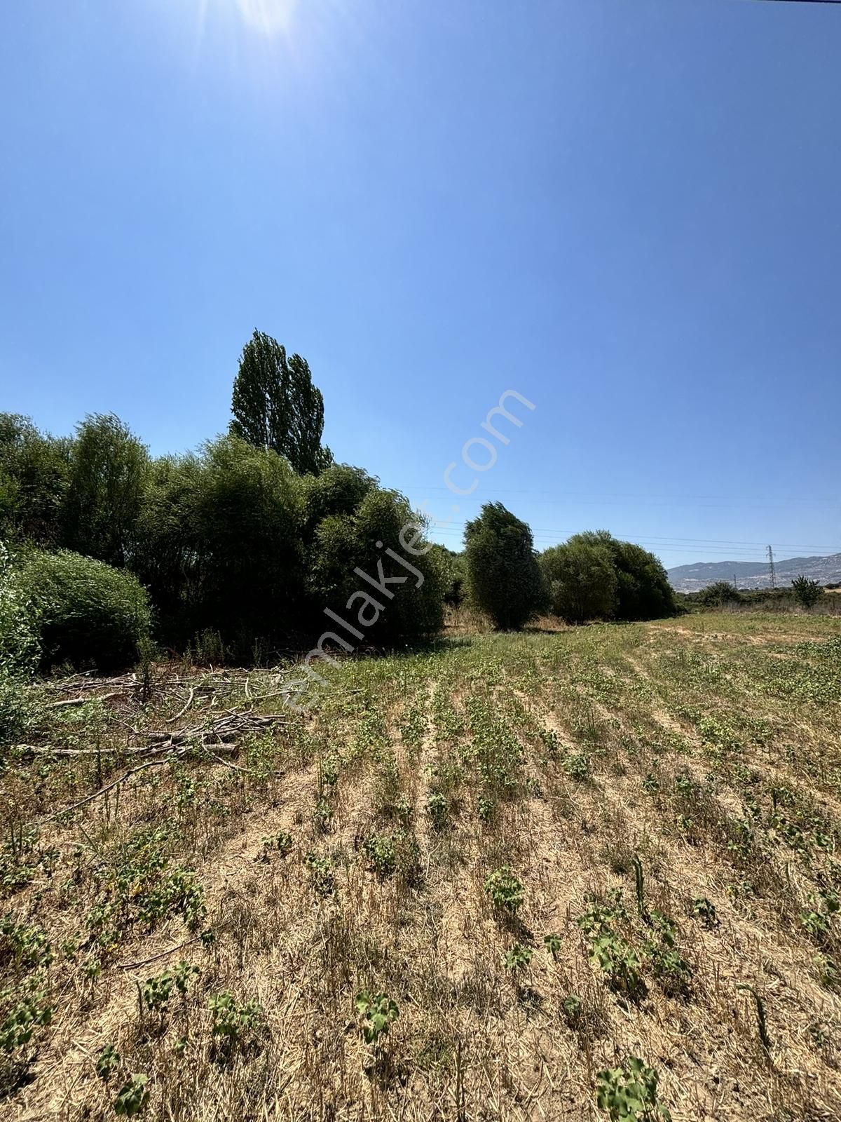 Satılık 6,234 M2 Düz Yolu Olan Tarla - Görsel 2