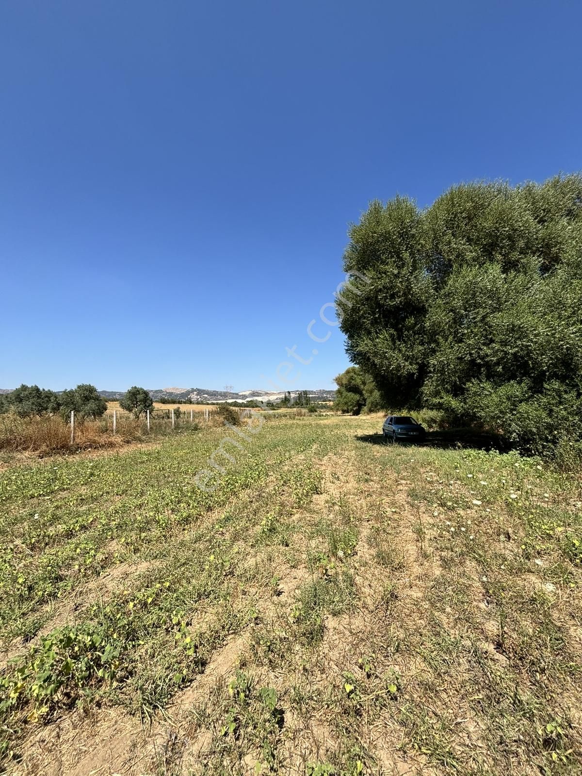 Satılık 6,234 M2 Düz Yolu Olan Tarla - Görsel 3