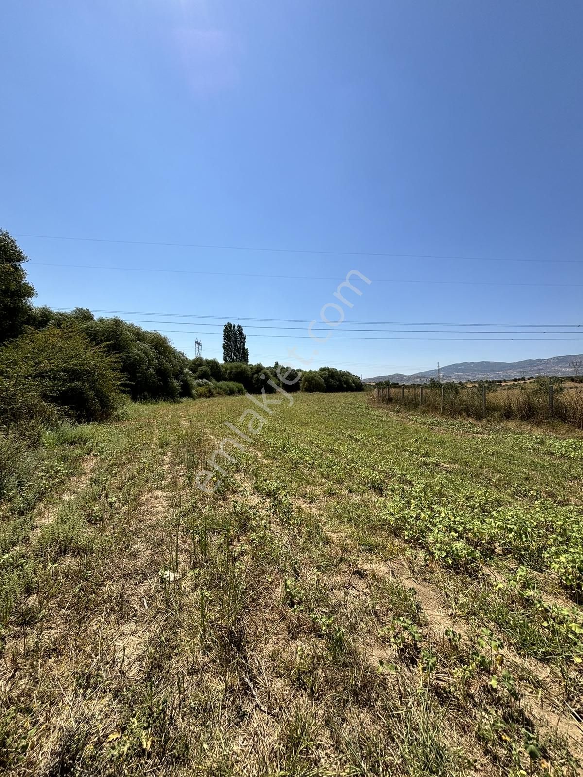 Satılık 6,234 M2 Düz Yolu Olan Tarla - Görsel 12