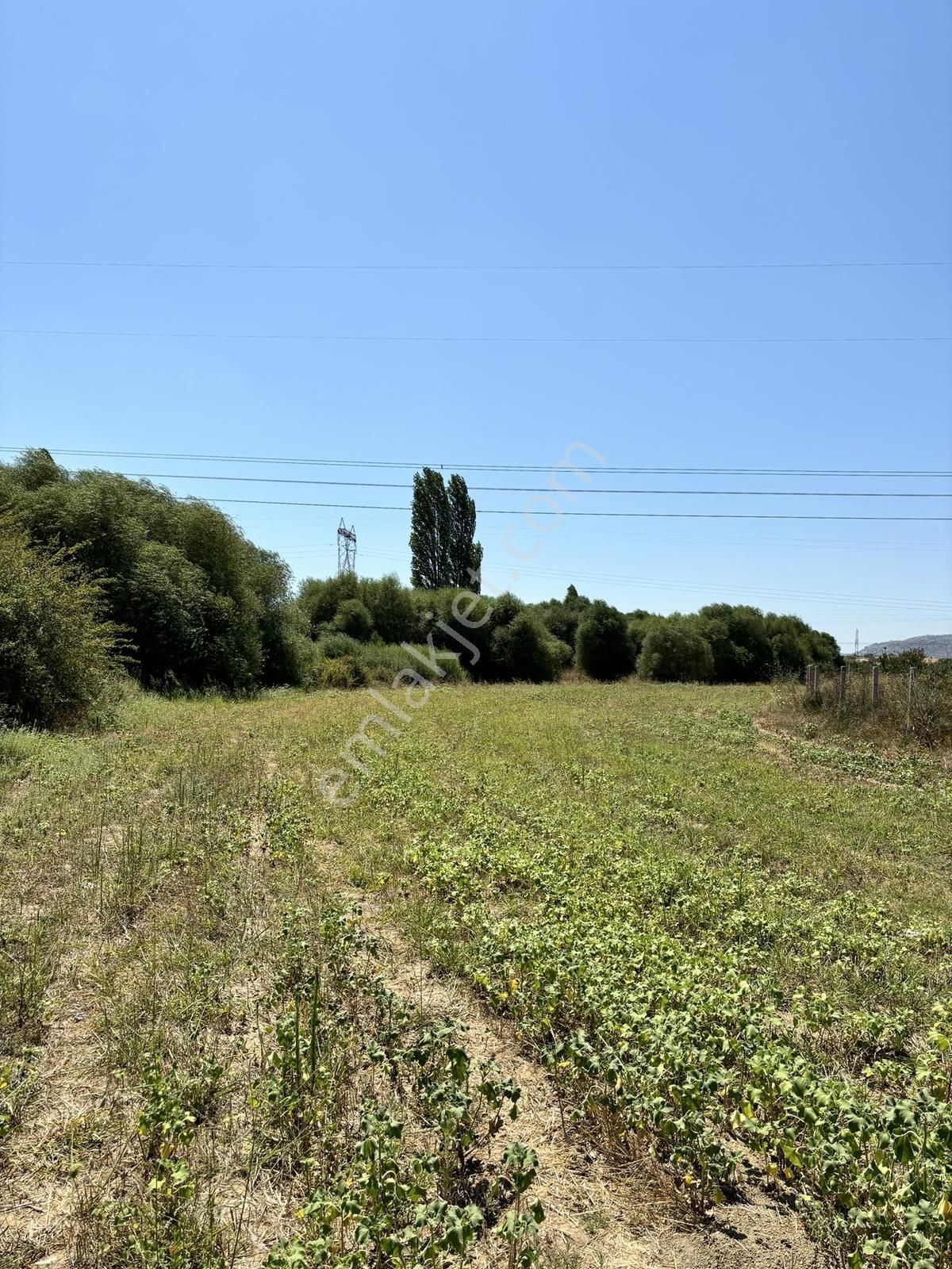 Satılık 6,234 M2 Düz Yolu Olan Tarla