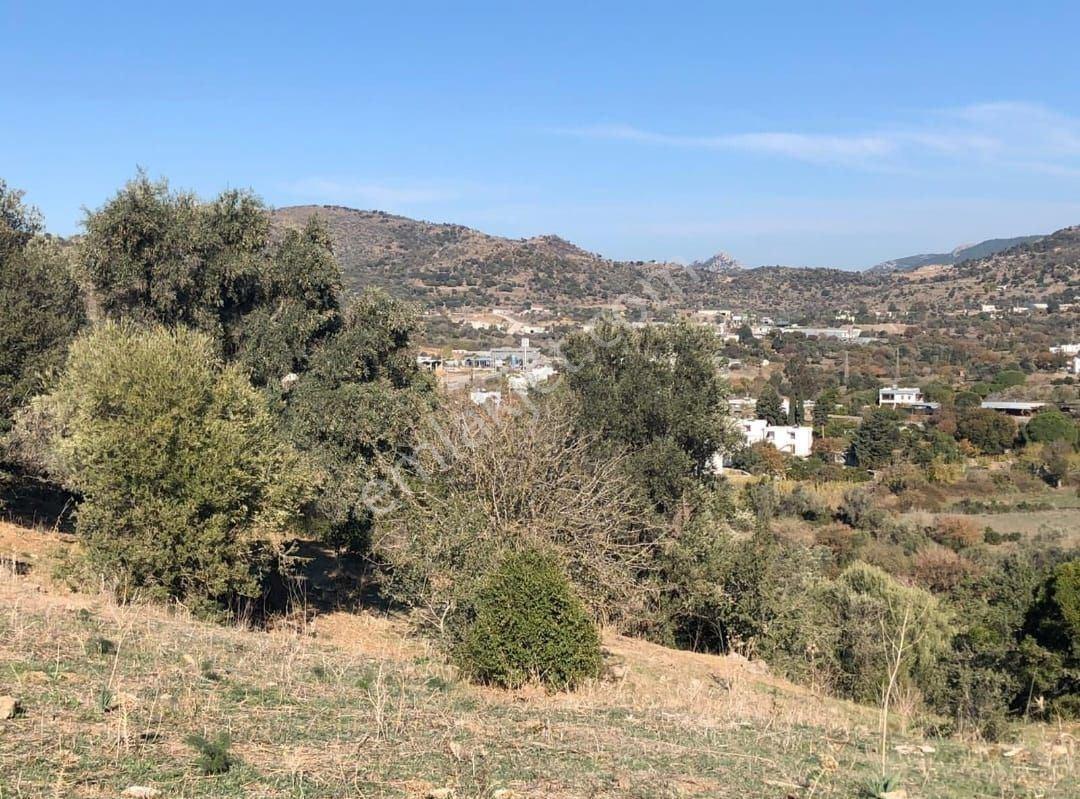 Bodrum İslamhaneleri 19000 M2 Yatırım İçin Mükemmel Fırsat - Görsel 6
