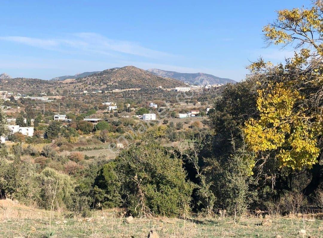 Bodrum İslamhaneleri 19000 M2 Yatırım İçin Mükemmel Fırsat - Görsel 12