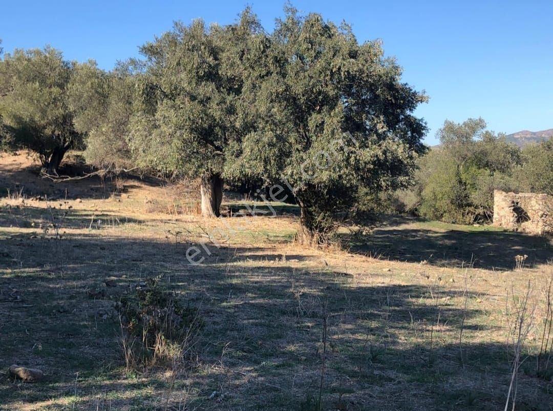 Bodrum İslamhaneleri 19000 M2 Yatırım İçin Mükemmel Fırsat - Görsel 7