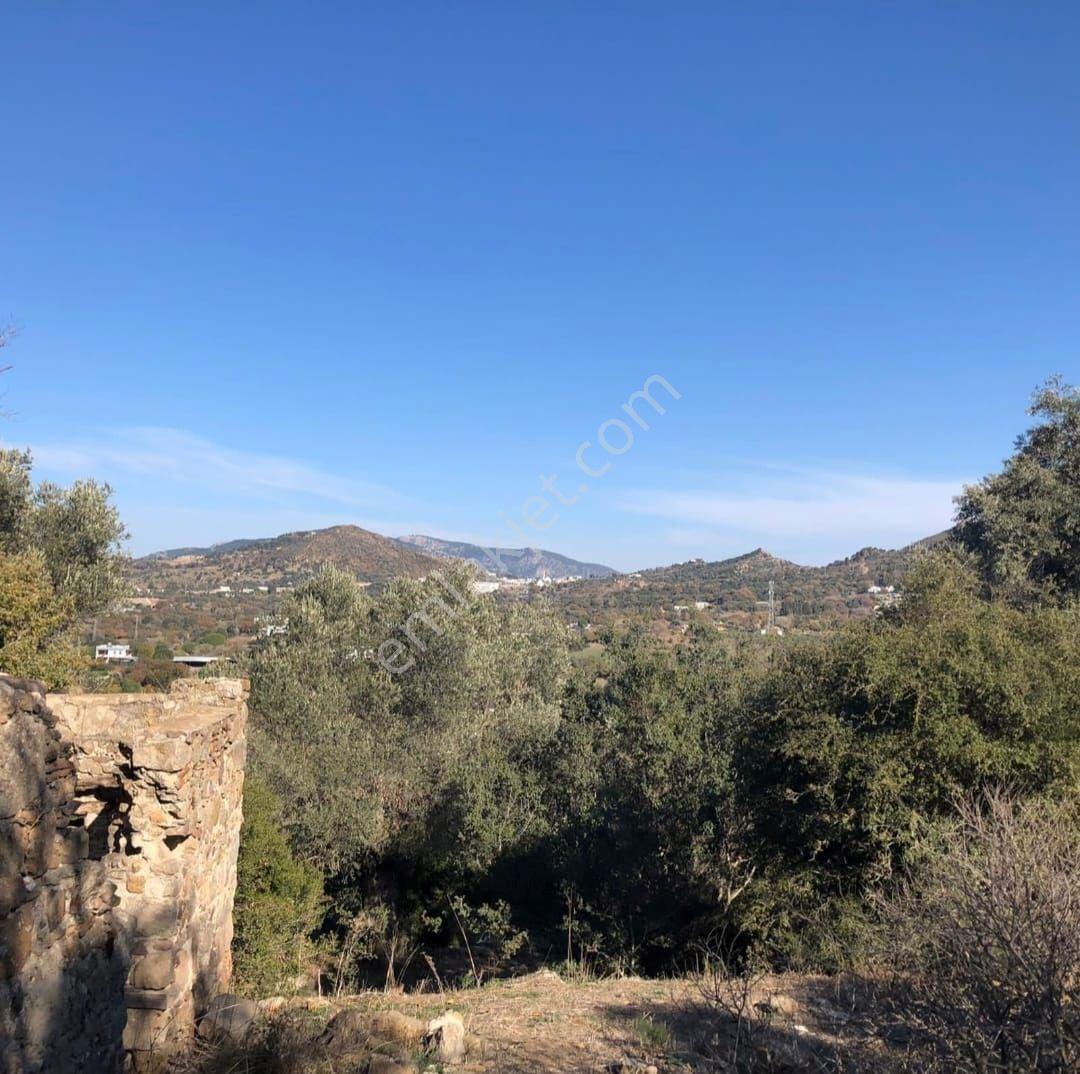 Bodrum İslamhaneleri 19000 M2 Yatırım İçin Mükemmel Fırsat - Görsel 10