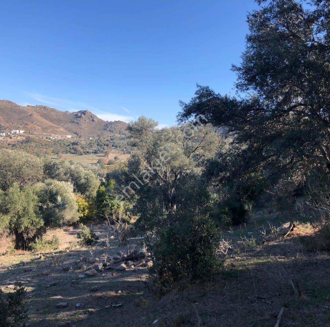 Bodrum İslamhaneleri 19000 M2 Yatırım İçin Mükemmel Fırsat - Görsel 2