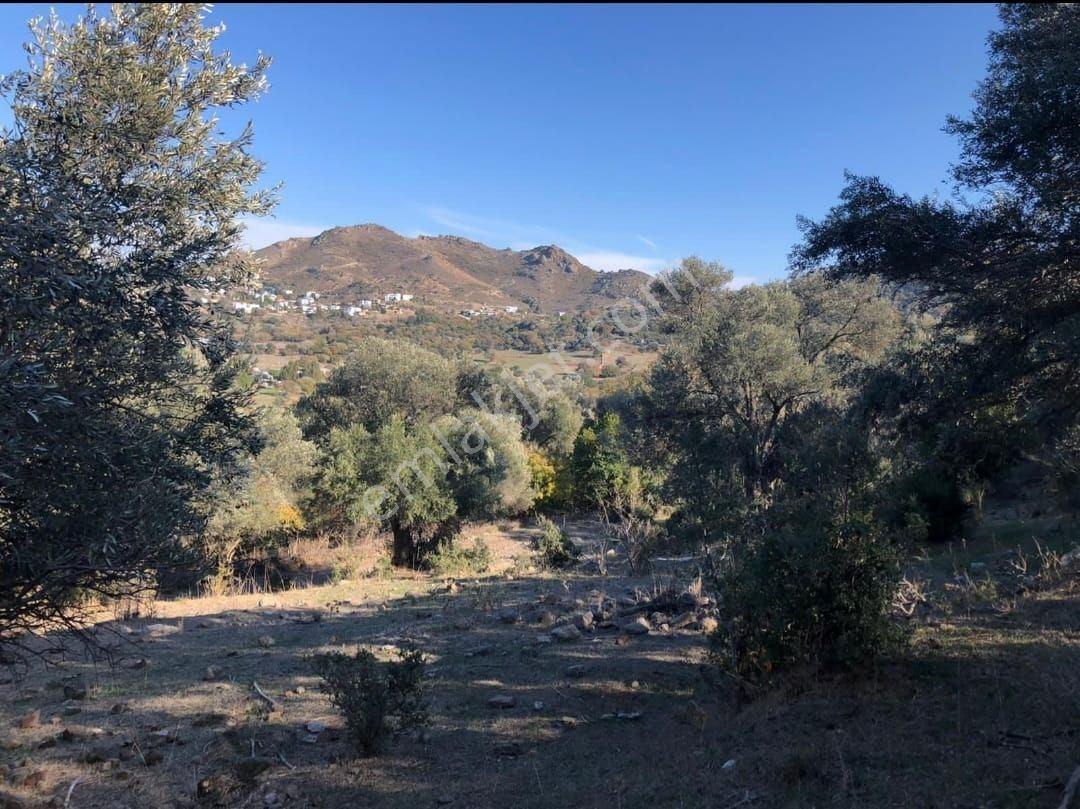 Bodrum İslamhaneleri 19000 M2 Yatırım İçin Mükemmel Fırsat - Görsel 3