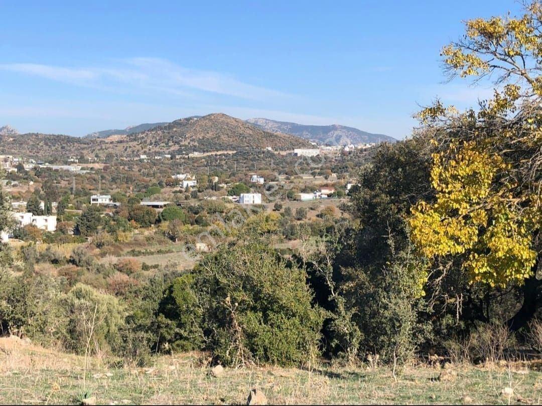 Bodrum İslamhaneleri 19000 M2 Yatırım İçin Mükemmel Fırsat - Görsel 4