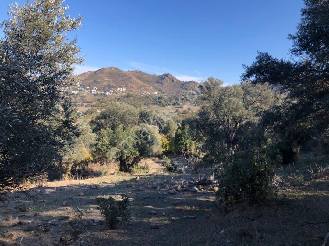 Bodrum İslamhaneleri 19000 M2 Yatırım İçin Mükemmel Fırsat - Görsel 8