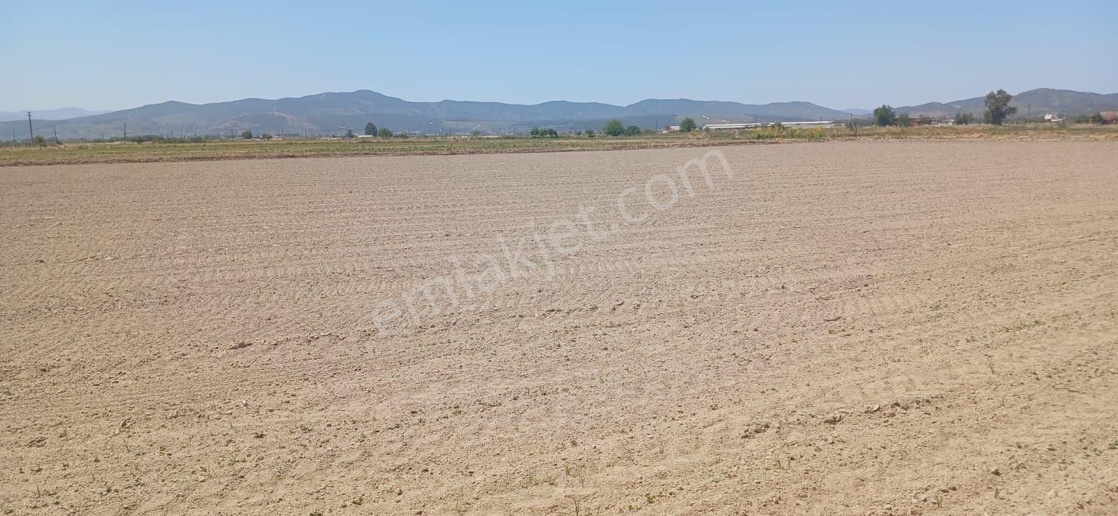 Milas Yaşyer'de 2945 M2 Bereketli Yatırım Fırsatı! - Görsel 12