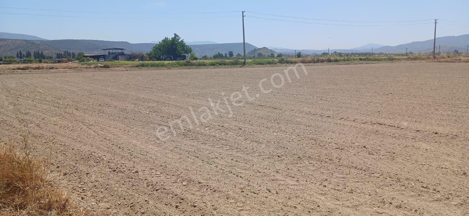 Milas Yaşyer'de 2945 M2 Bereketli Yatırım Fırsatı! - Görsel 11