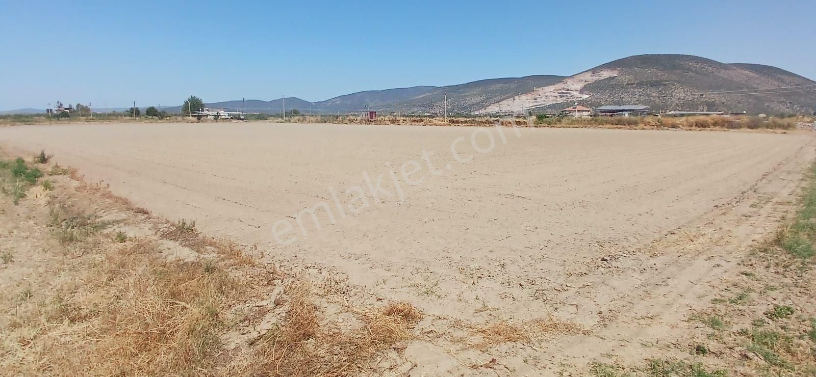 Milas Yaşyer'de 2945 M2 Bereketli Yatırım Fırsatı! - Görsel 7