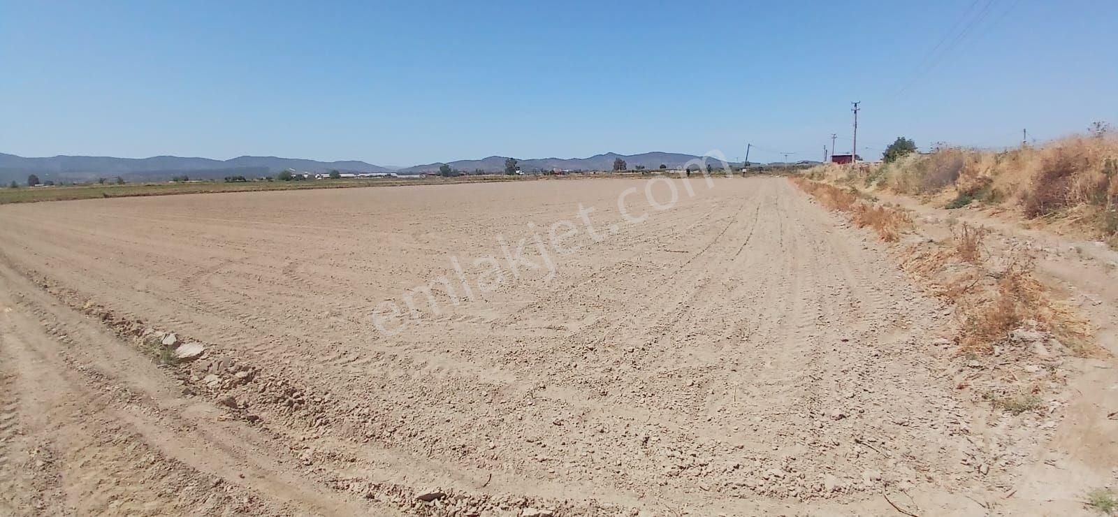 Milas Yaşyer'de 2945 M2 Bereketli Yatırım Fırsatı! - Görsel 6