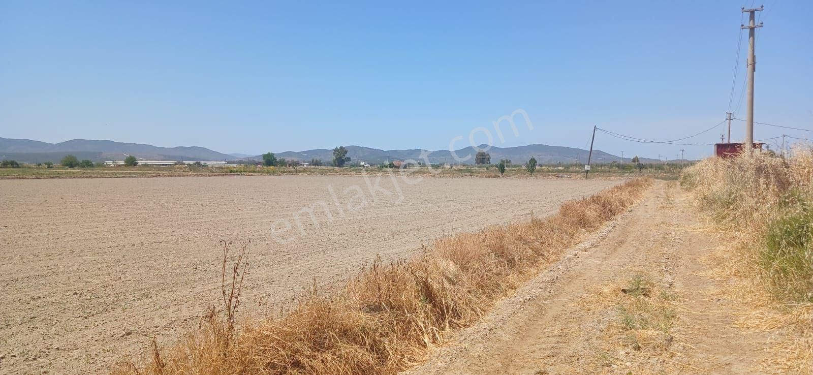 Milas Yaşyer'de 2945 M2 Bereketli Yatırım Fırsatı! - Görsel 8