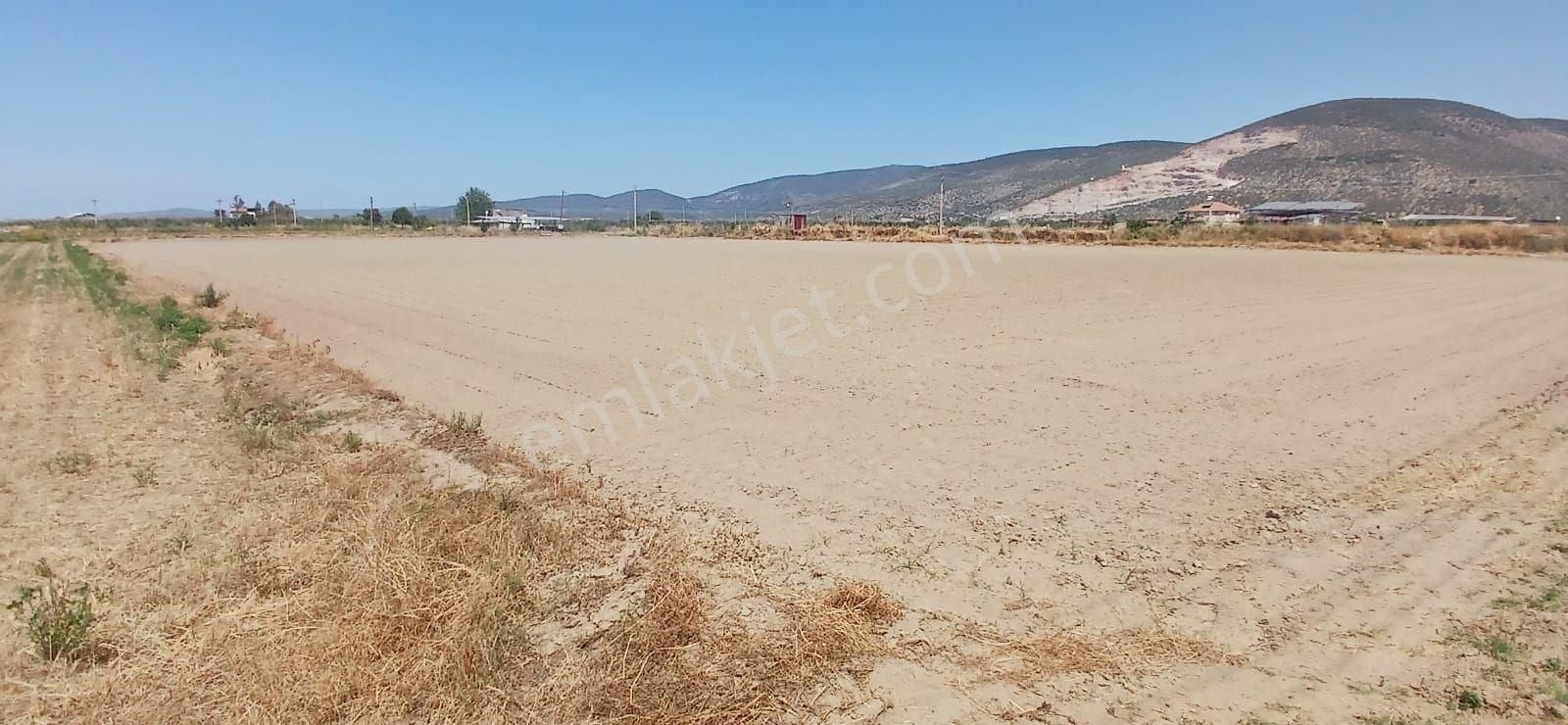 Milas Yaşyer'de 2945 M2 Bereketli Yatırım Fırsatı! - Görsel 2