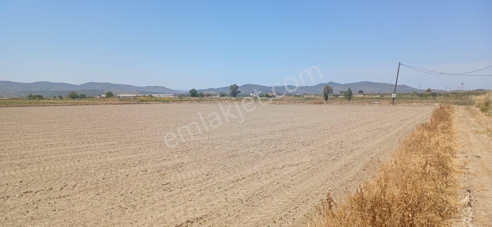 Milas Yaşyer'de 2945 M2 Bereketli Yatırım Fırsatı! - Görsel 9