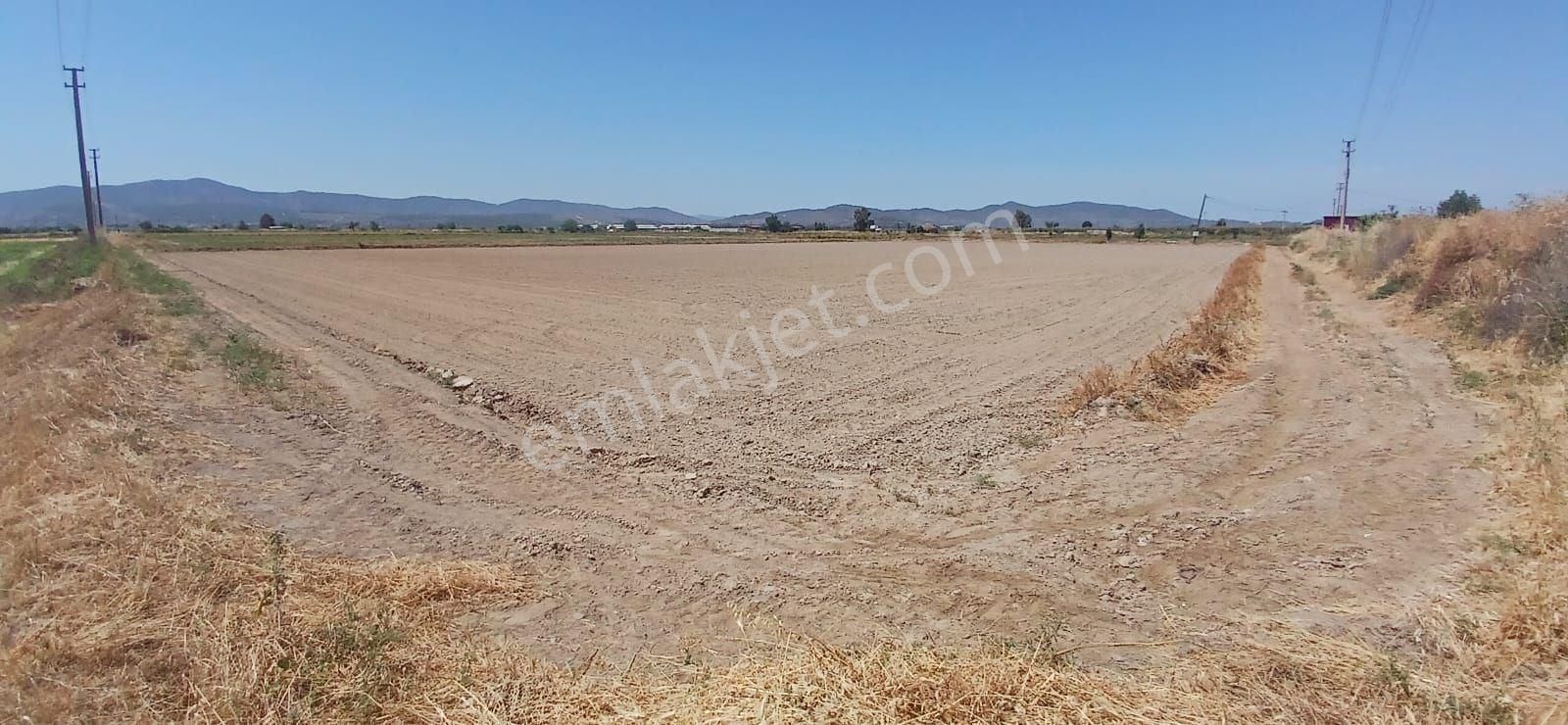 Milas Yaşyer'de 2945 M2 Bereketli Yatırım Fırsatı! - Görsel 15