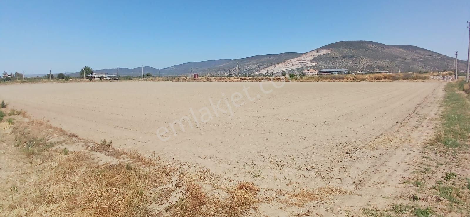 Milas Yaşyer'de 2945 M2 Bereketli Yatırım Fırsatı! - Görsel 13