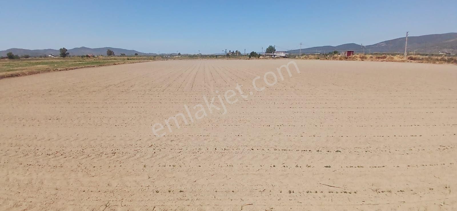 Milas Yaşyer'de 2945 M2 Bereketli Yatırım Fırsatı! - Görsel 14