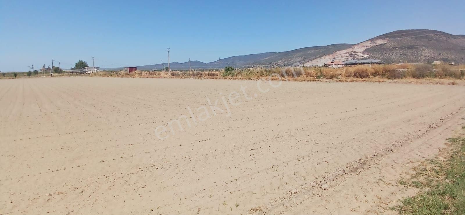 Milas Yaşyer'de 2945 M2 Bereketli Yatırım Fırsatı! - Görsel 4