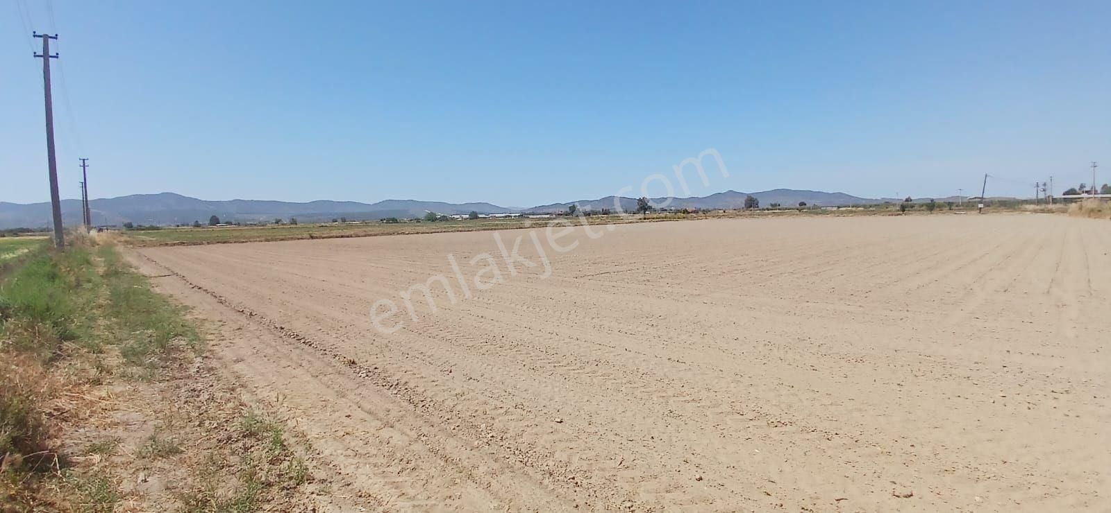 Milas Yaşyer'de 2945 M2 Bereketli Yatırım Fırsatı! - Görsel 5