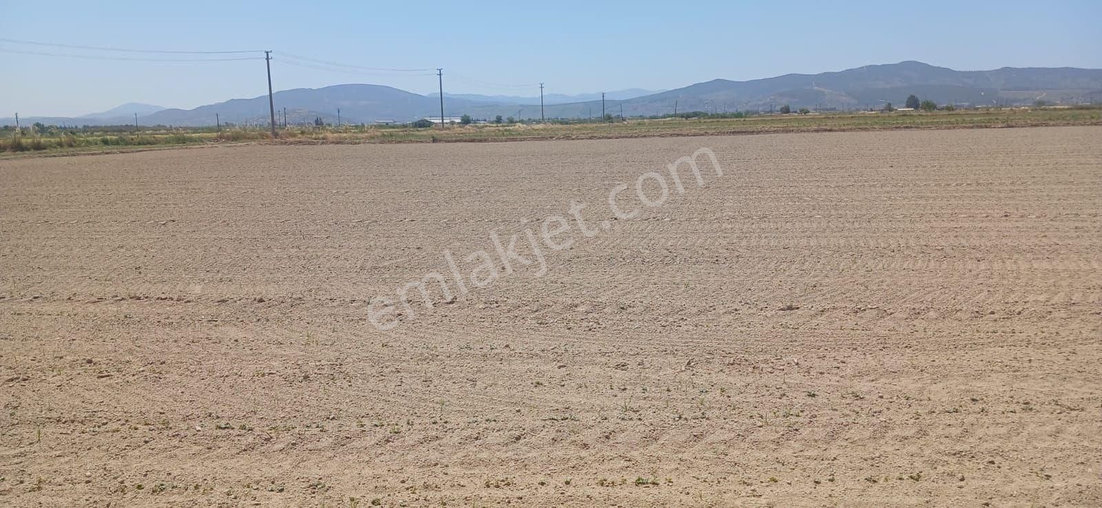 Milas Yaşyer'de 2945 M2 Bereketli Yatırım Fırsatı! - Görsel 10