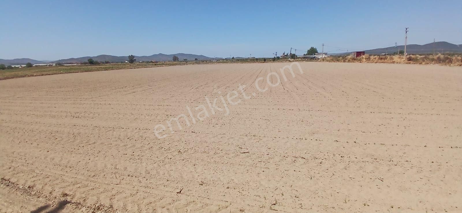 Milas Yaşyer'de 2945 M2 Bereketli Yatırım Fırsatı! - Görsel 3